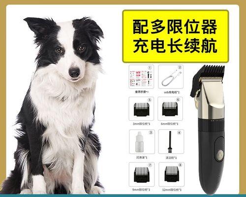 文章详情图片