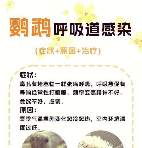 文章详情图片