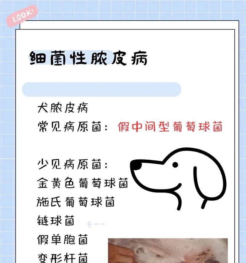 文章详情图片