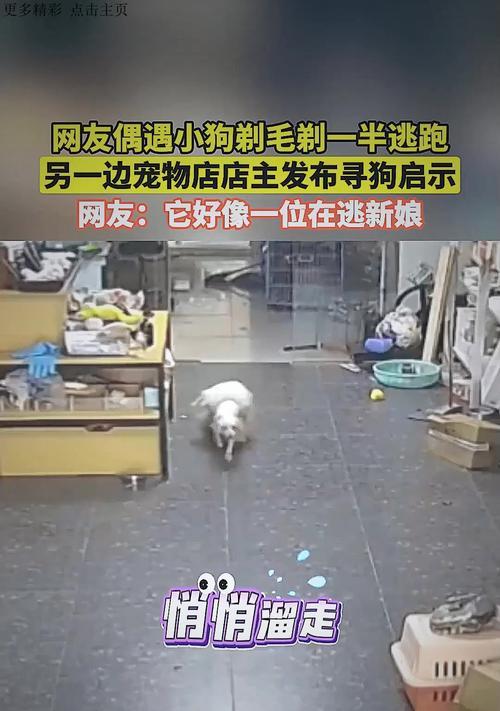 文章详情图片