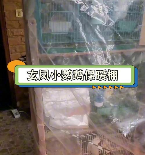 文章详情图片