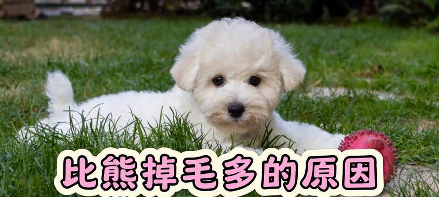 文章详情图片