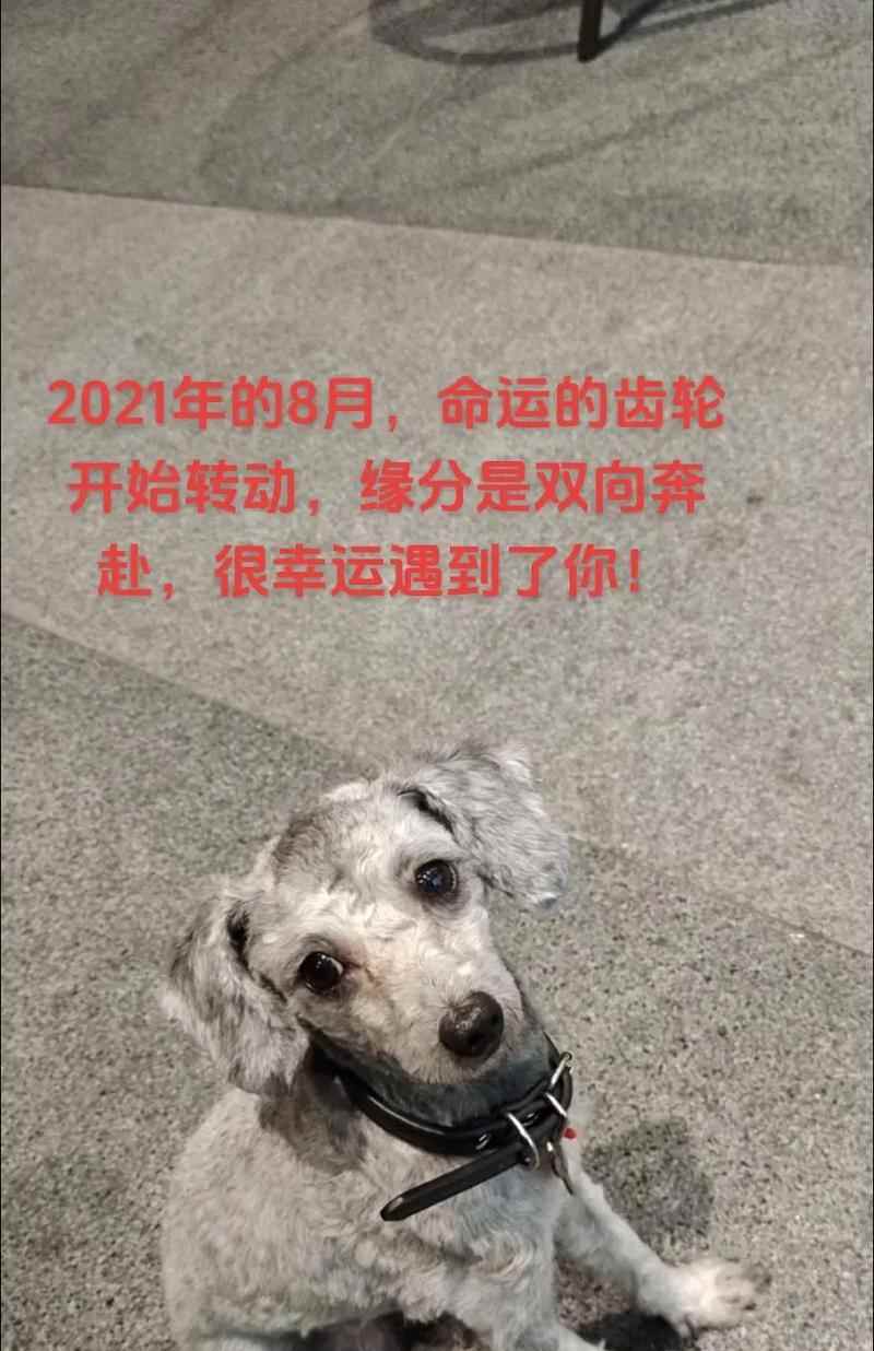 文章详情图片