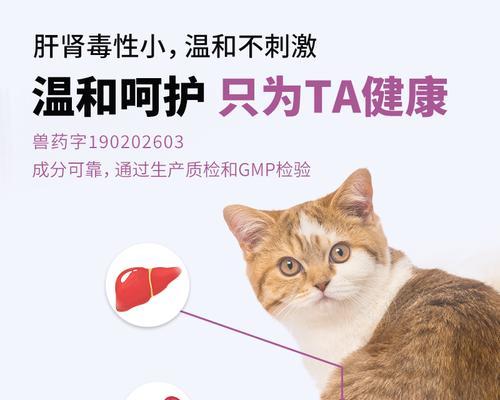 文章详情图片