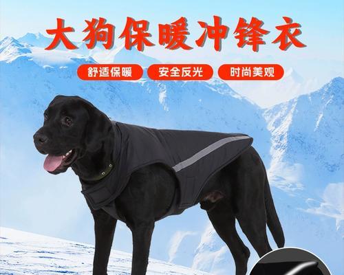文章详情图片
