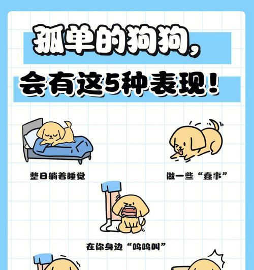 探究狗狗无精的原因及应对方法（为何狗狗失去活力？如何帮助狗狗恢复精神？）