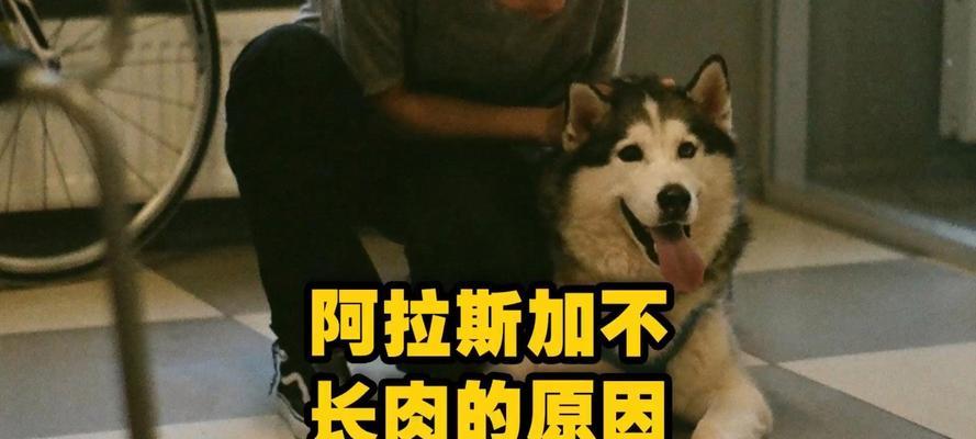 文章详情图片