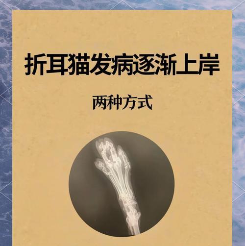 文章详情图片