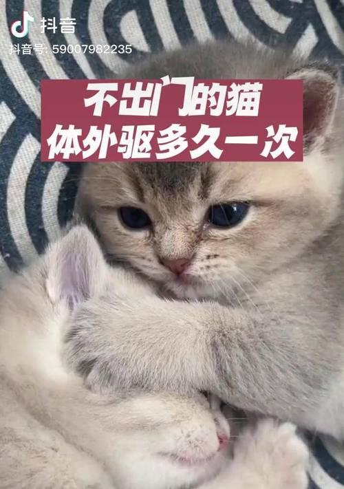 文章详情图片