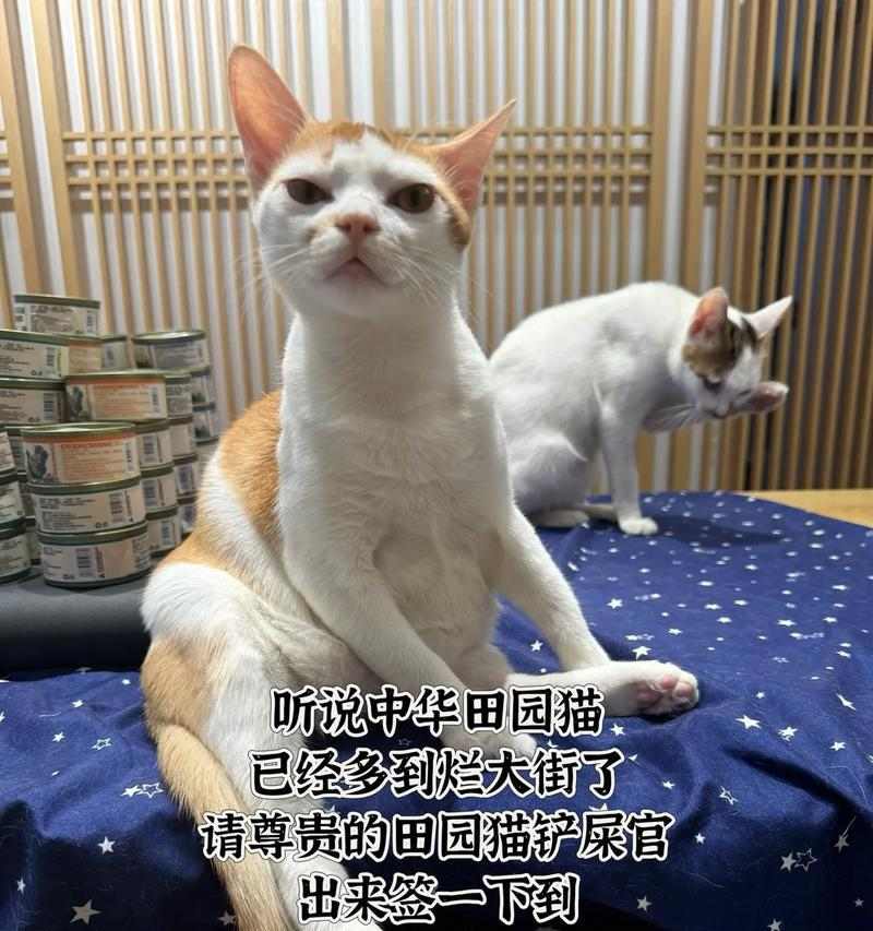 文章详情图片