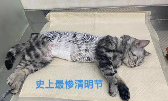 文章详情图片