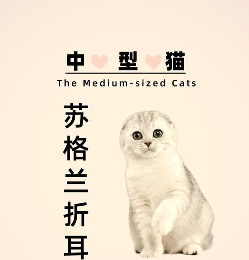 文章详情图片