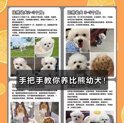 文章详情图片
