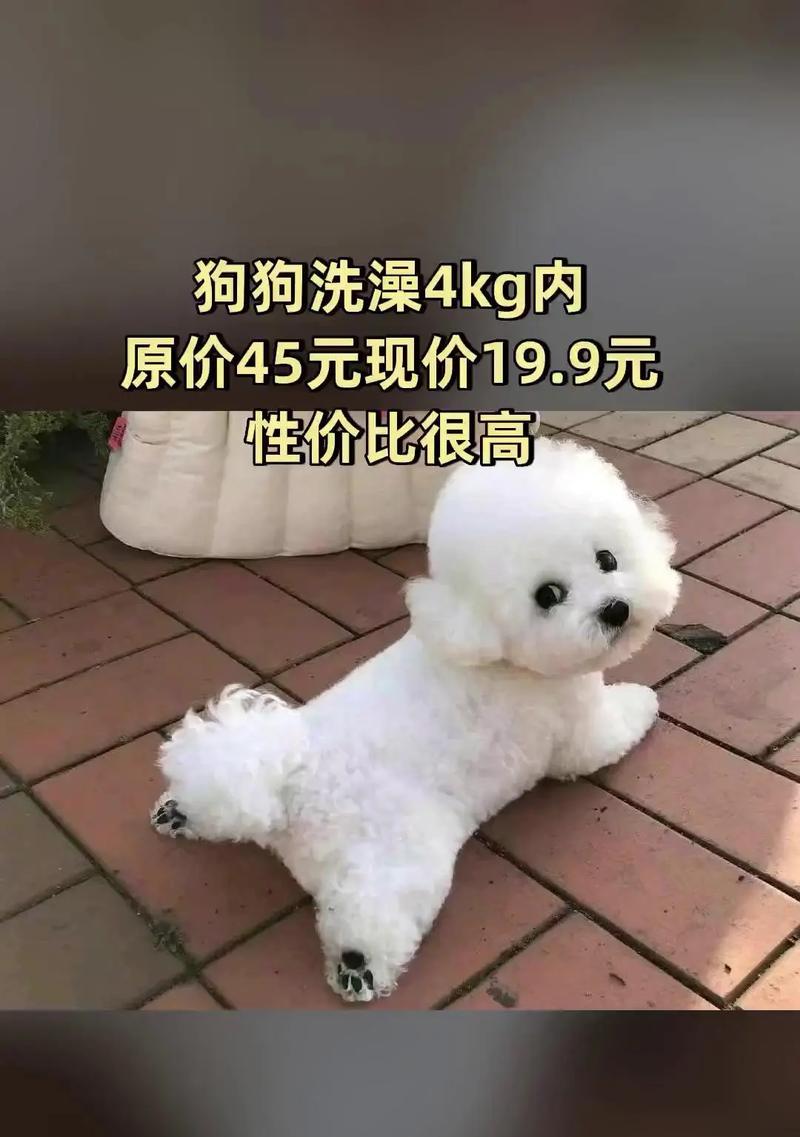 文章详情图片