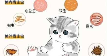 文章详情图片