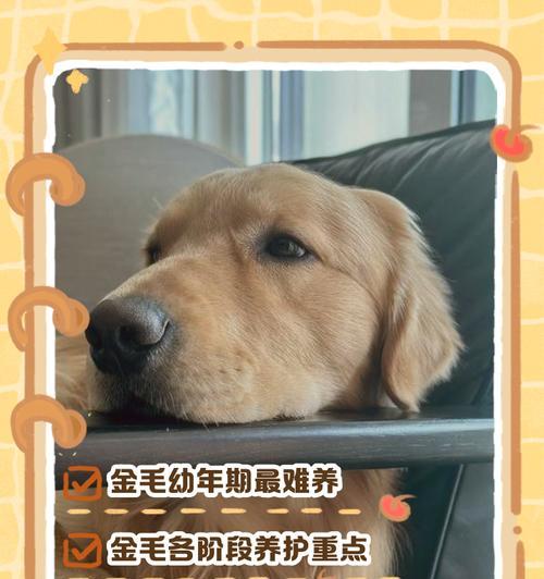 文章详情图片