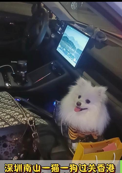 文章详情图片