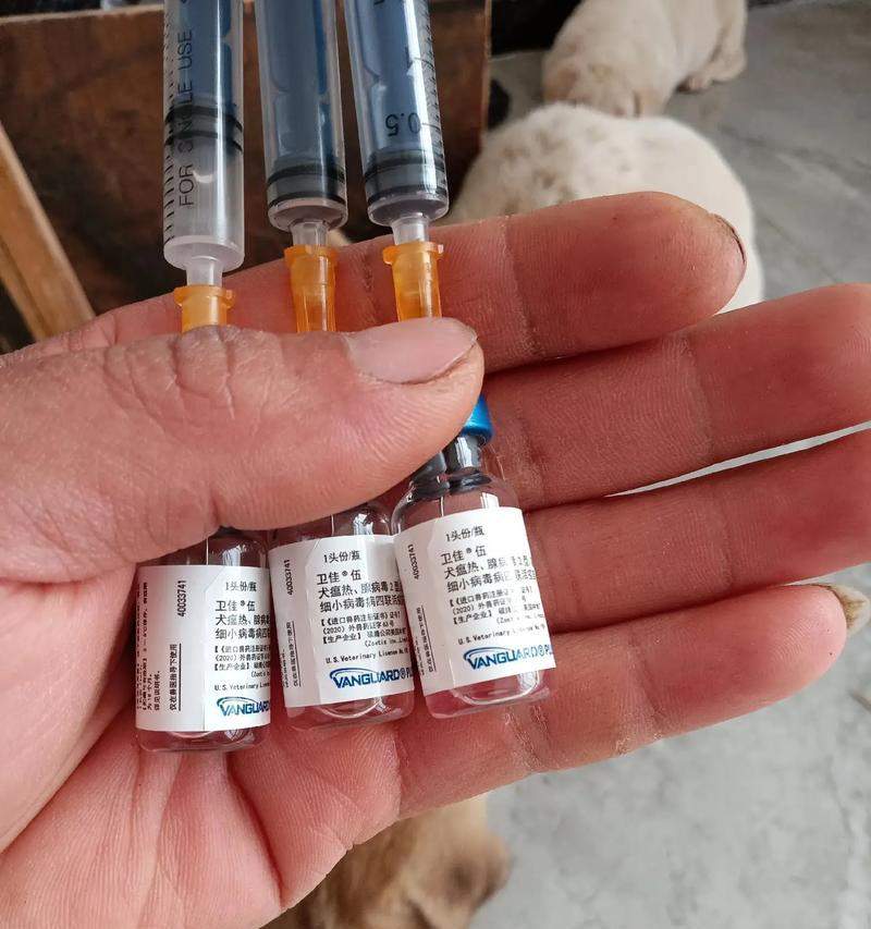 文章详情图片