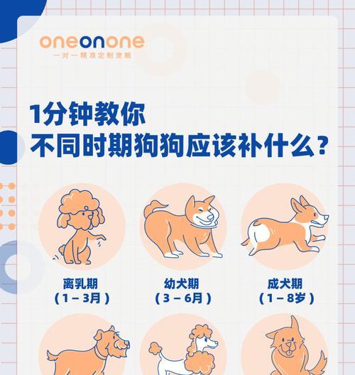文章详情图片