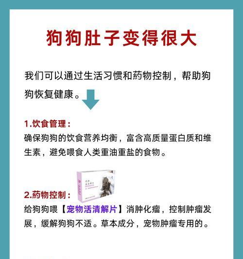 文章详情图片