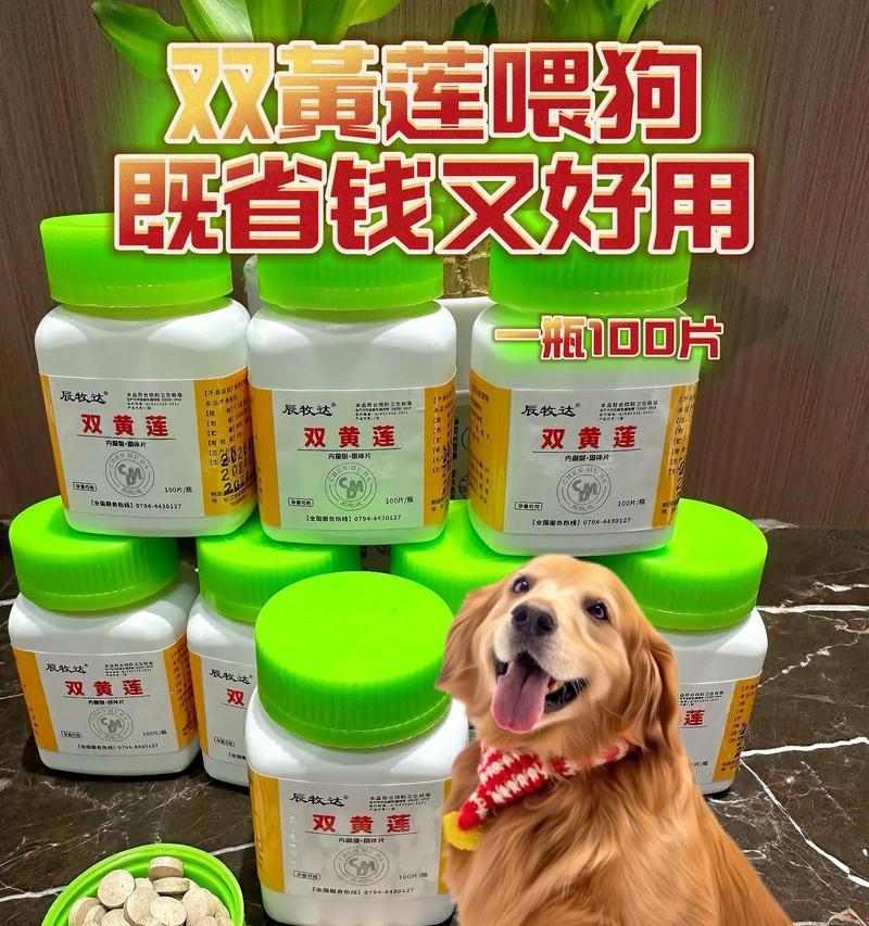 文章详情图片