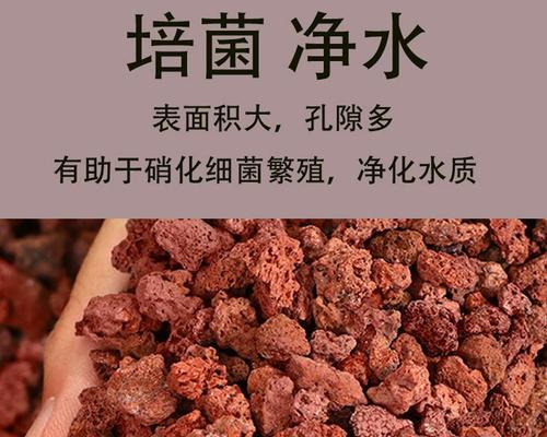 文章详情图片