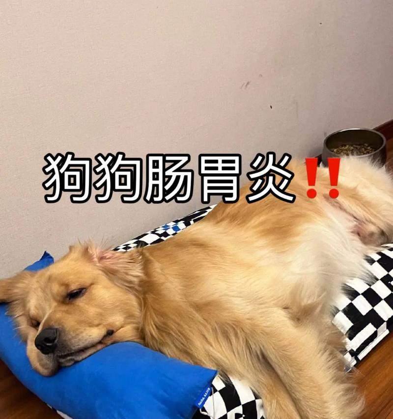 文章详情图片