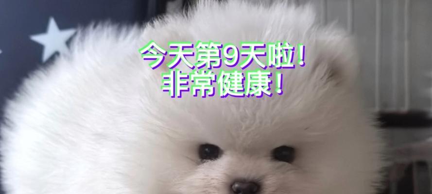 文章详情图片