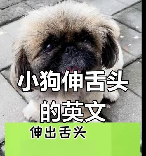 文章详情图片