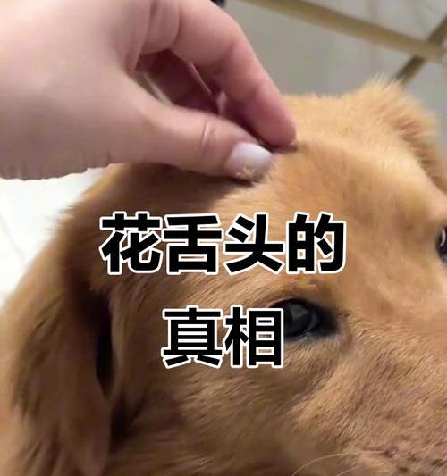 文章详情图片
