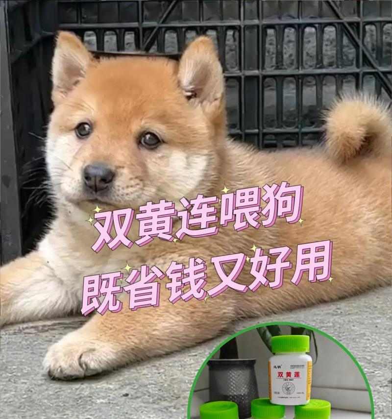 文章详情图片