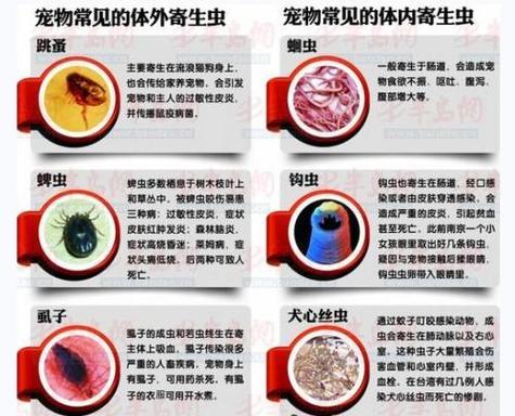 文章详情图片
