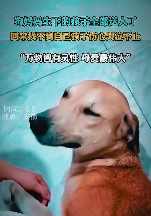 文章详情图片