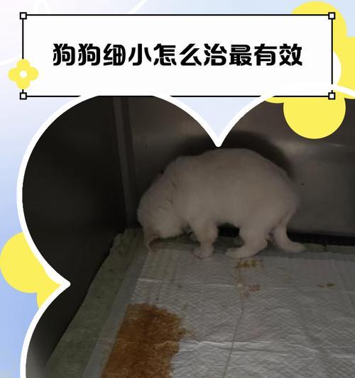 文章详情图片