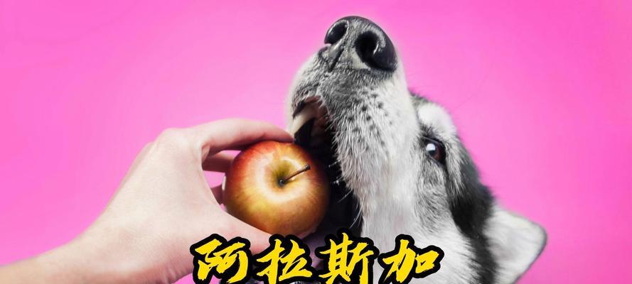 文章详情图片