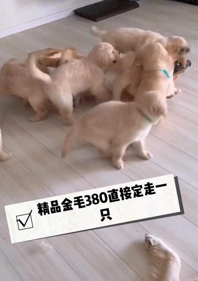 文章详情图片