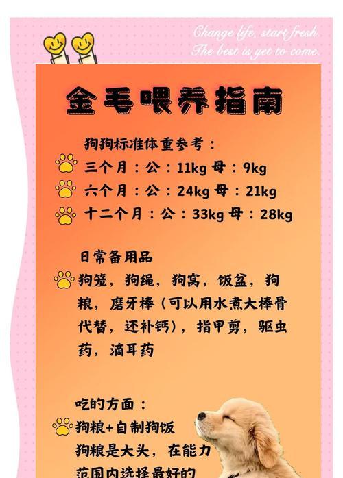 文章详情图片