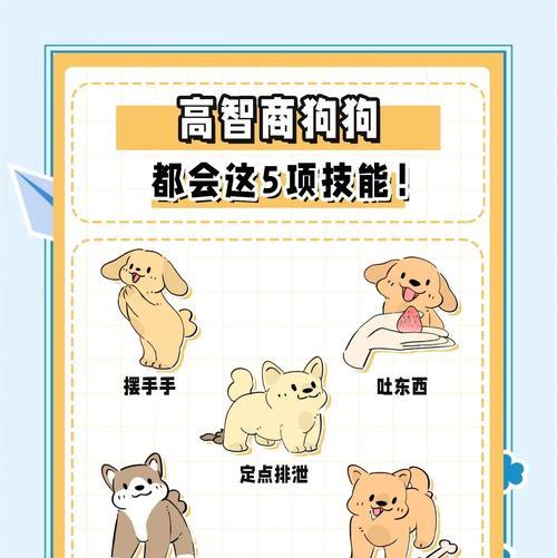 文章详情图片