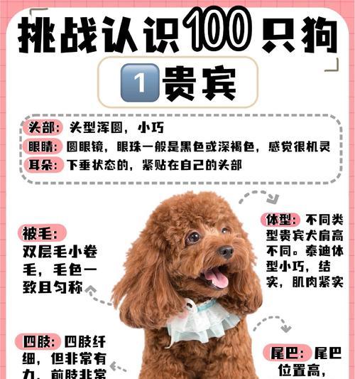 文章详情图片