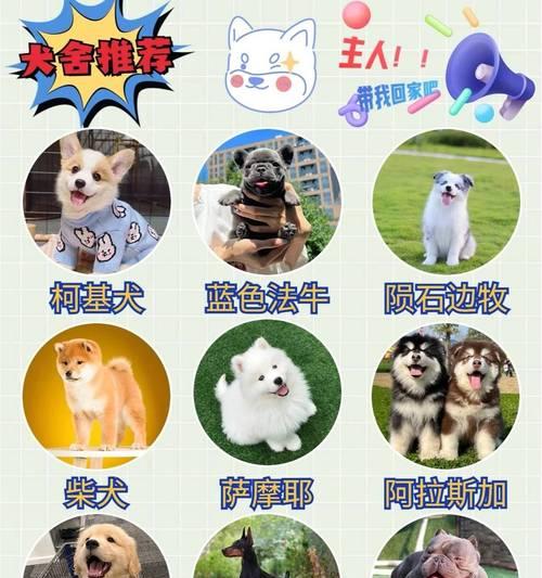 文章详情图片