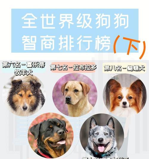文章详情图片