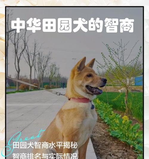 文章详情图片