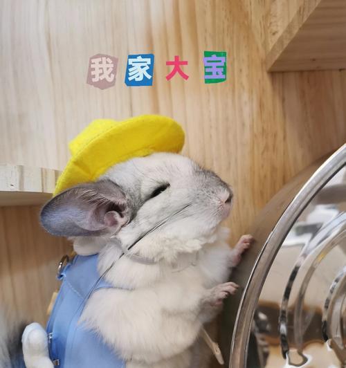 文章详情图片