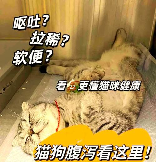 文章详情图片