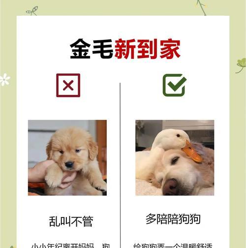 文章详情图片
