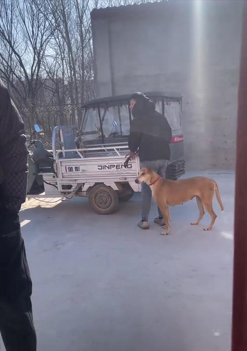 文章详情图片