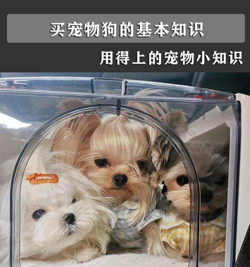 文章详情图片