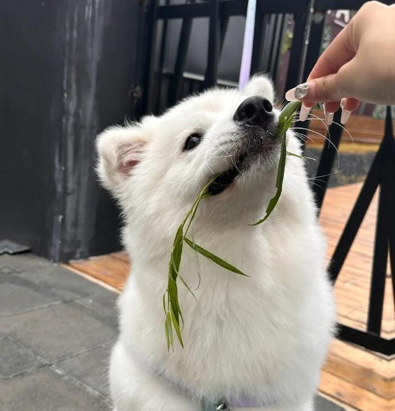 文章详情图片