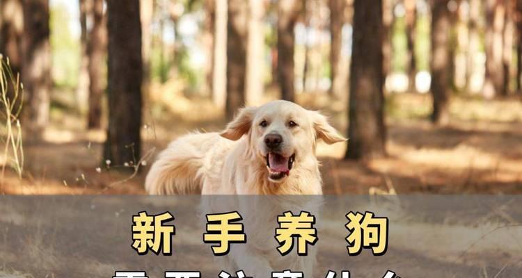 文章详情图片