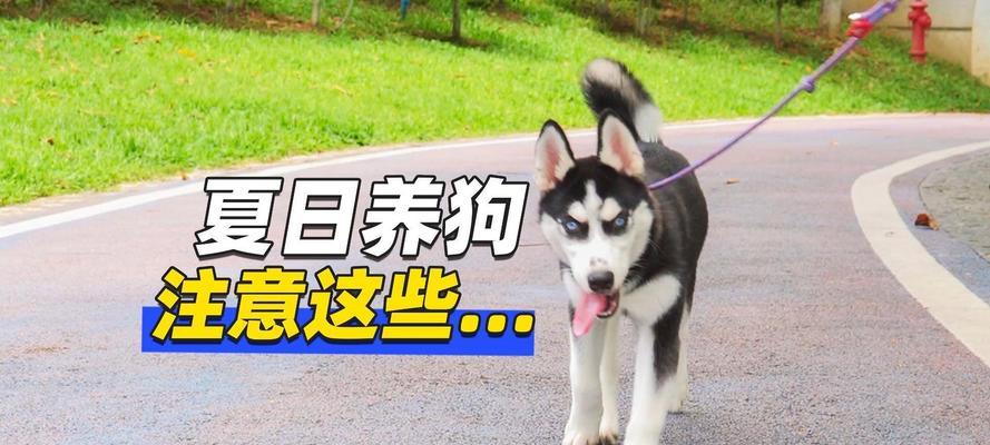 文章详情图片